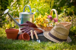 Gardening